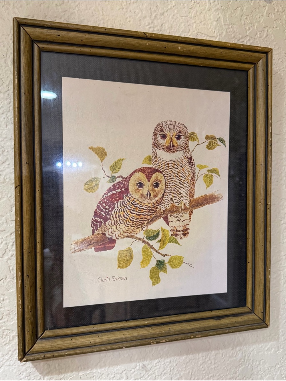VTG Home Craft Signed Framed Owl Lithograph Print by Gloria Eriksen